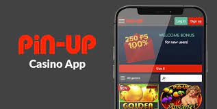 Pin-Up Gambling Enterprise Review